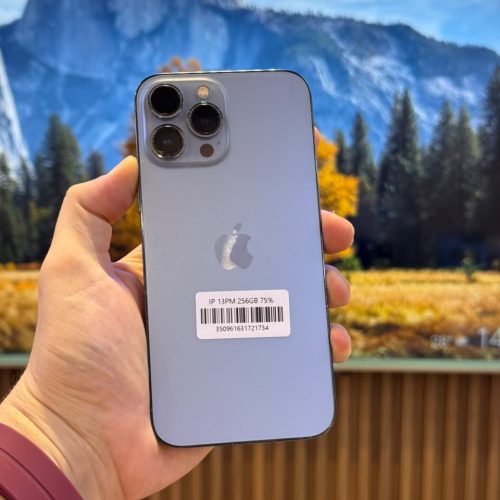 iPhone 13 Pro Max